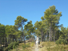 France-Provence-French Colorado Provence Ride
